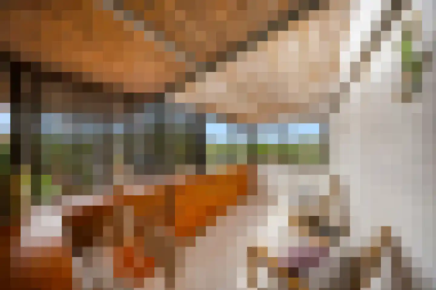 Schans Portugal 1 Een thumbnail 31