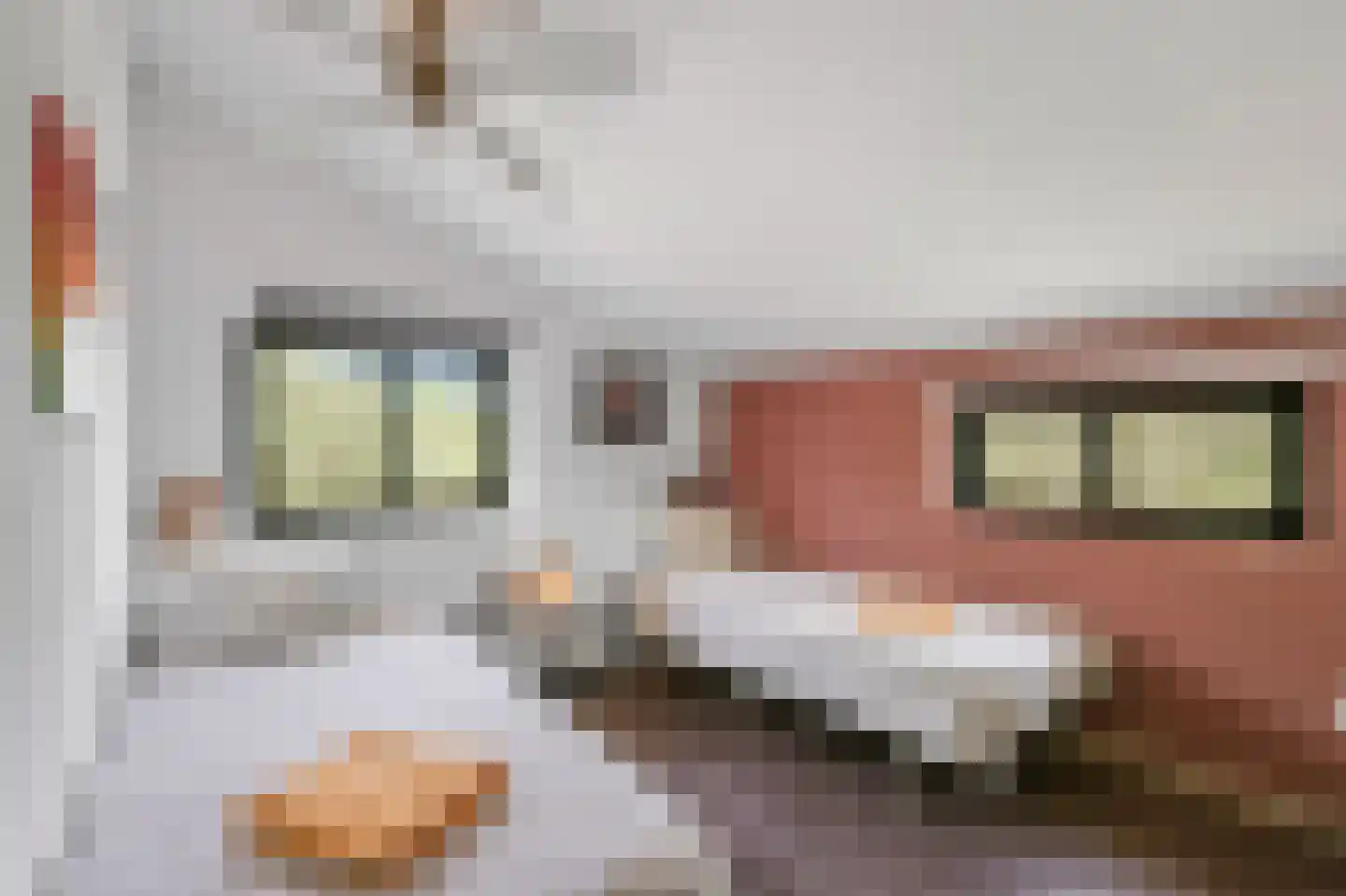 Schans Portugal 1 Een thumbnail 36