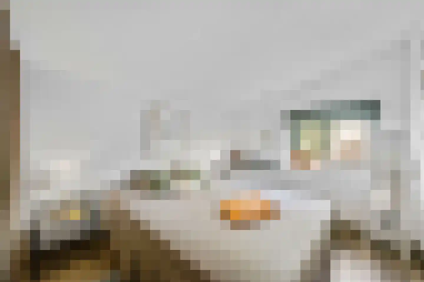 Schans Portugal 1 Een thumbnail 39