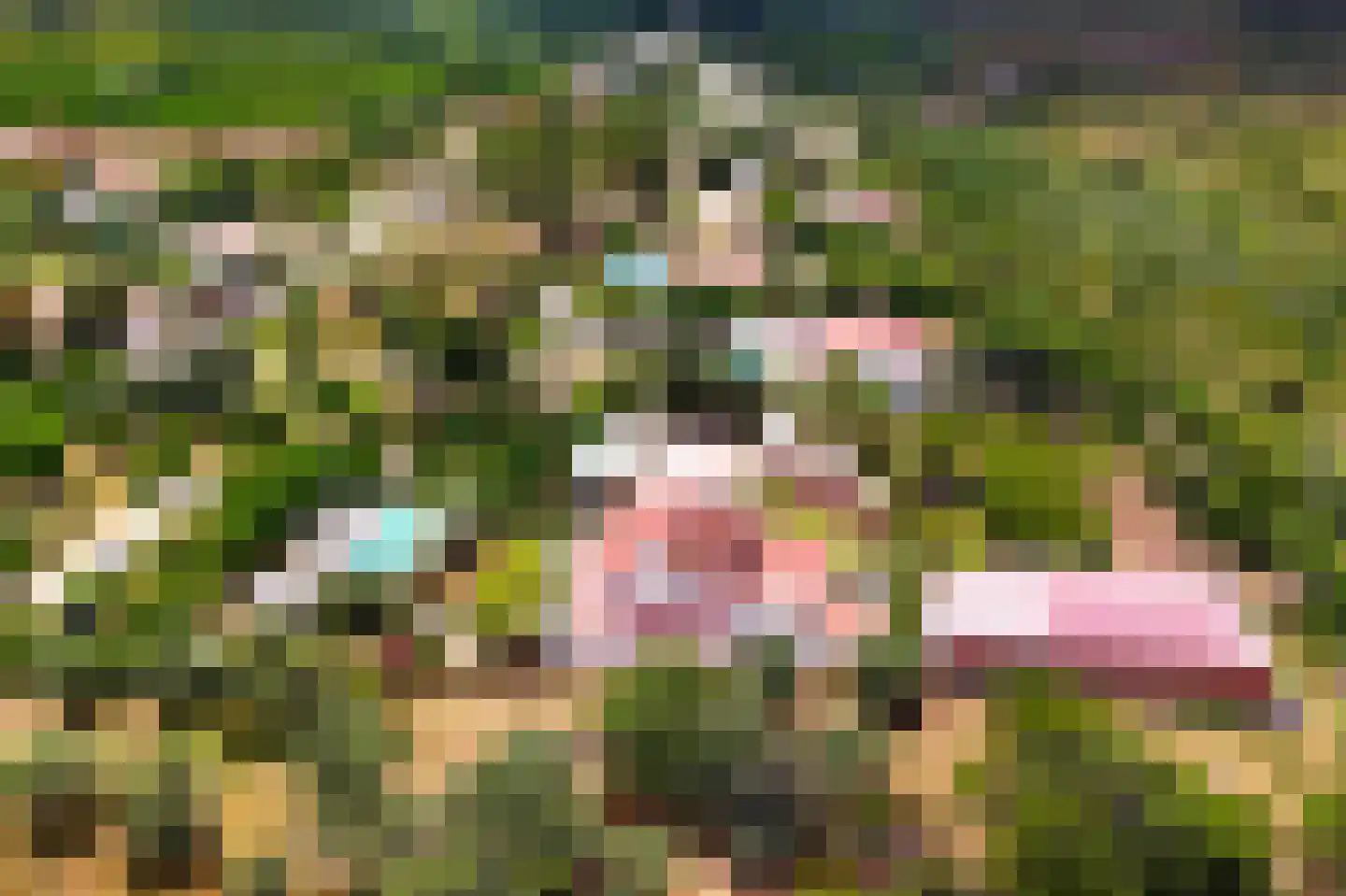 Schans Portugal 1 Een thumbnail 4