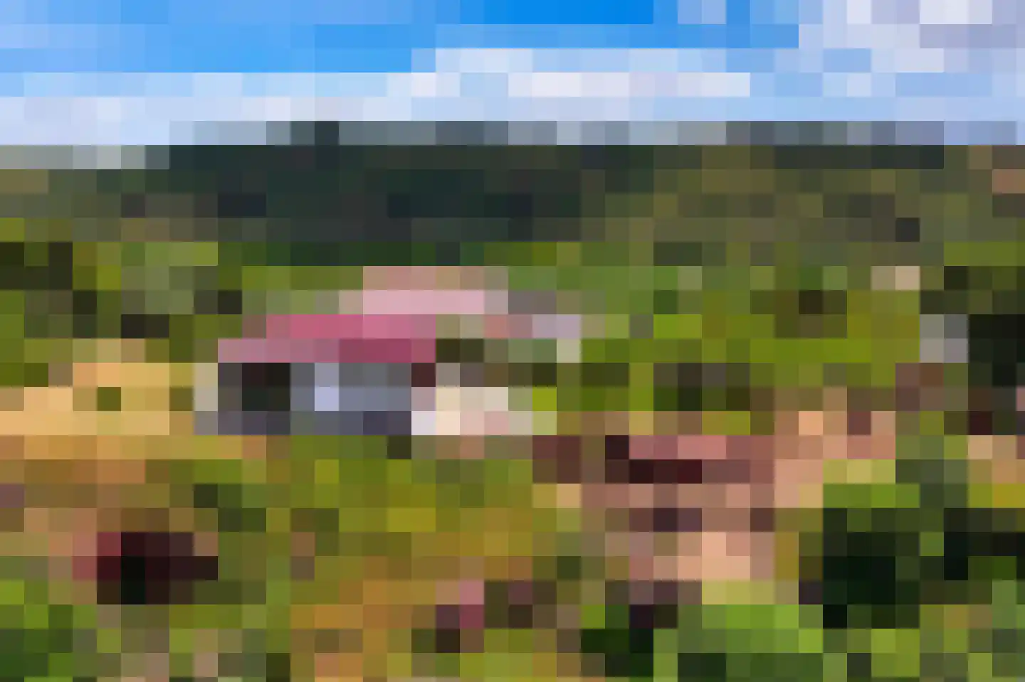 Schans Portugal 1 Een thumbnail 89