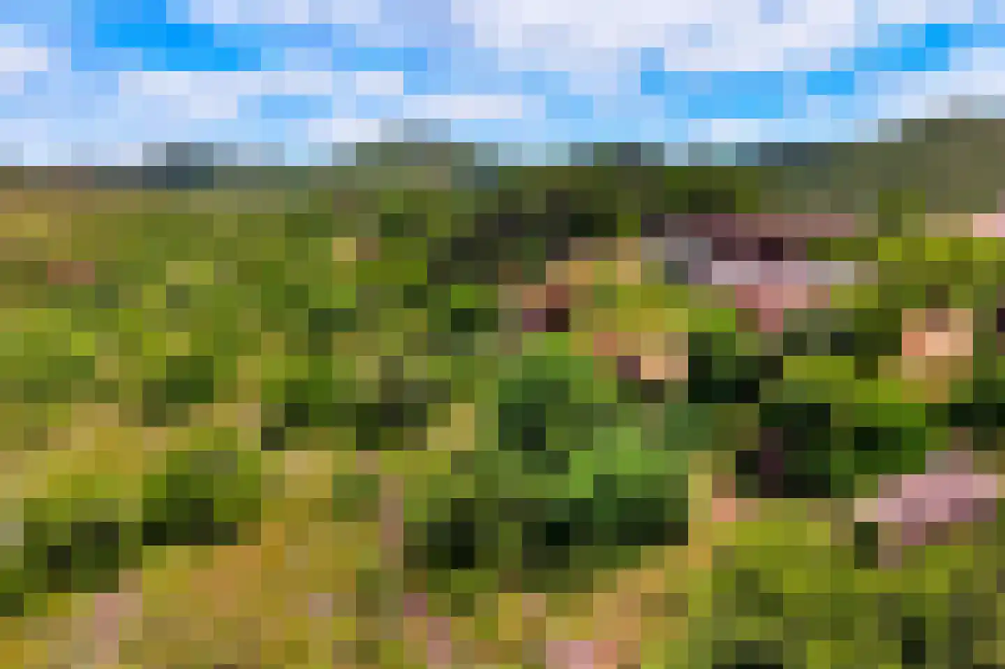 Schans Portugal 1 Een thumbnail 90