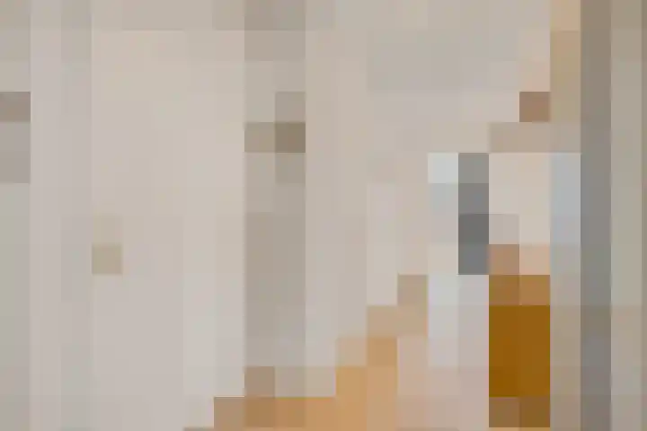 Schansbaan 113 D Zoetermeer thumbnail 16