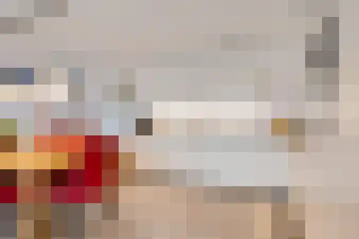 Schansbaan 113 D Zoetermeer thumbnail 27