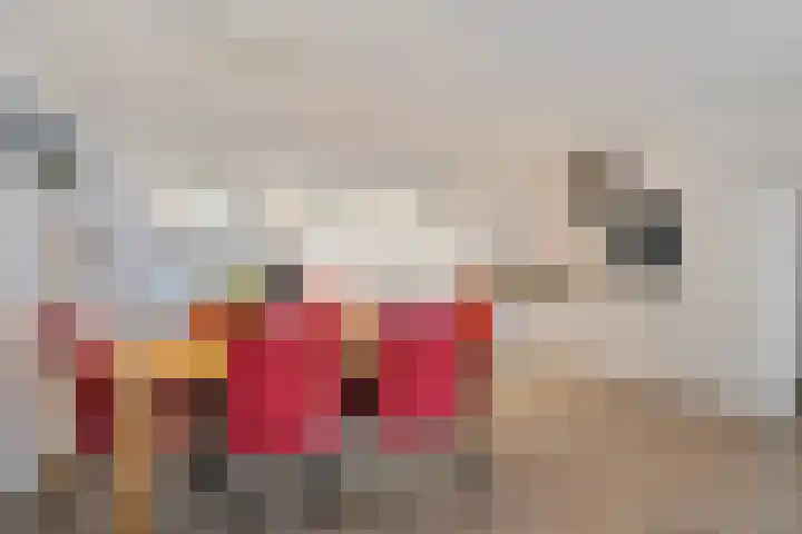 Schansbaan 113 D Zoetermeer thumbnail 28