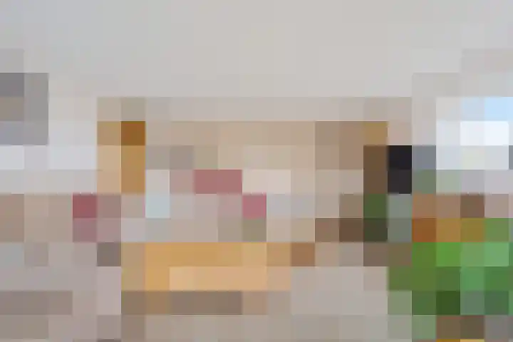 Schansbaan 113 D Zoetermeer thumbnail 29
