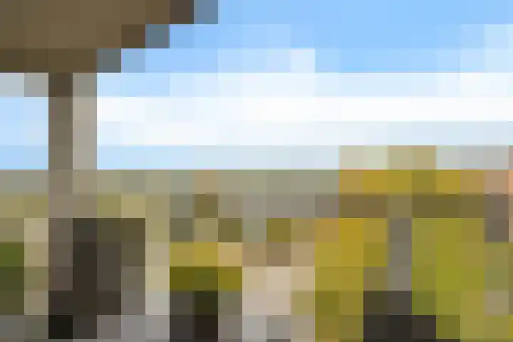 Schansbaan 113 D Zoetermeer thumbnail 33