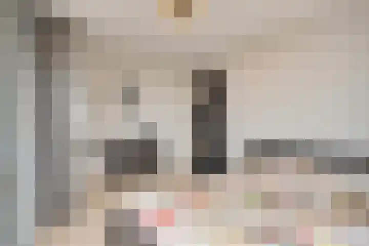 Schansbaan 113 D Zoetermeer thumbnail 37