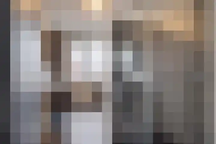 Schansbaan 113 D Zoetermeer thumbnail 38