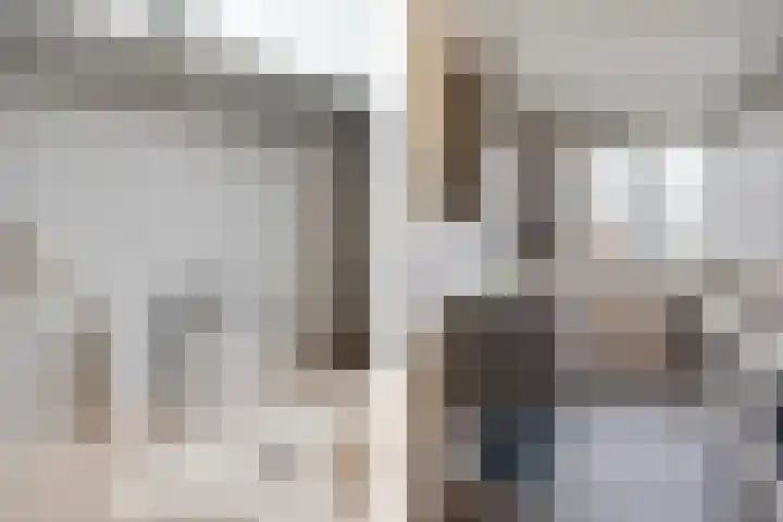 Schansbaan 113 D Zoetermeer thumbnail 39