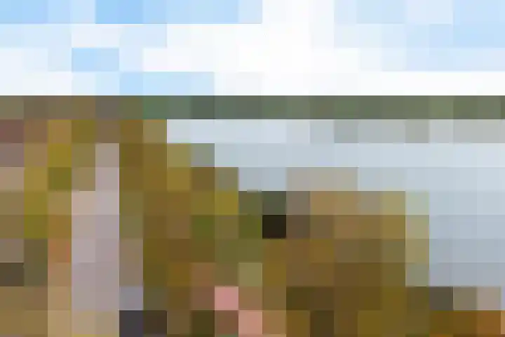 Schansbaan 113 D Zoetermeer thumbnail 45