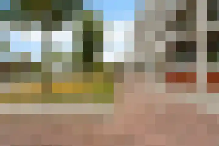 Schansbaan 113 D Zoetermeer thumbnail 47