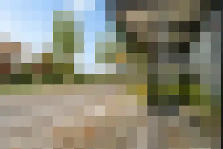 Schansbaan 113 D Zoetermeer thumbnail 48