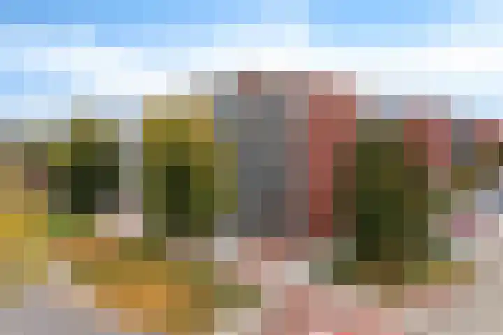 Schansbaan 113 D Zoetermeer thumbnail 5