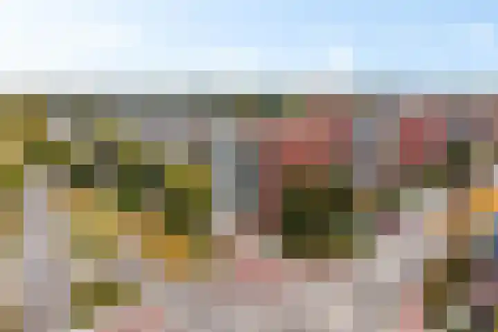 Schansbaan 113 D Zoetermeer thumbnail 8