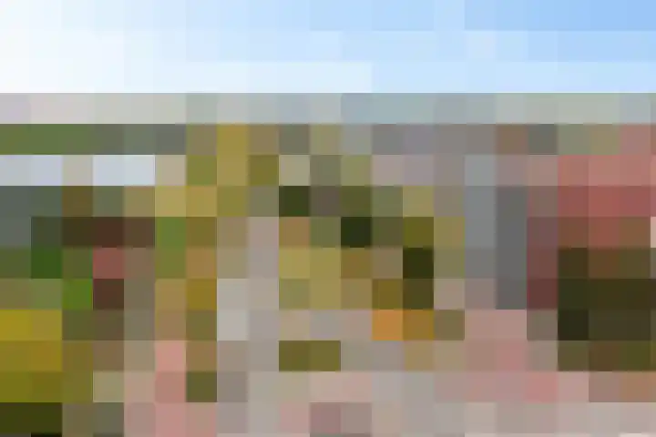 Schansbaan 113 D Zoetermeer thumbnail 9