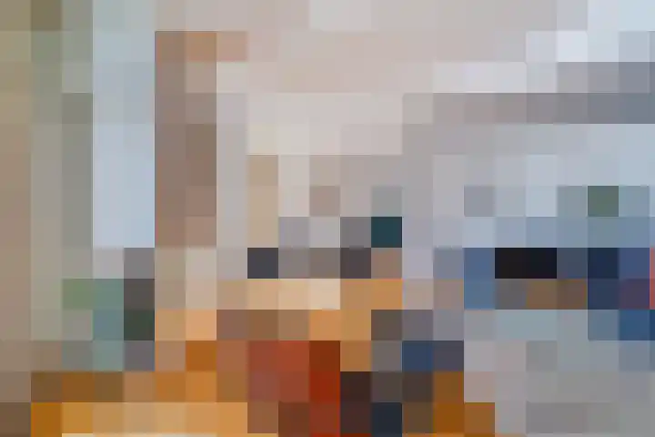 Schansbaan 120 Zoetermeer thumbnail 14