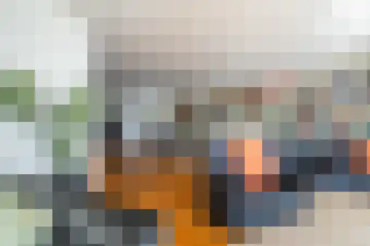 Schansbaan 120 Zoetermeer thumbnail 18