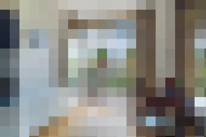 Schansbaan 120 Zoetermeer thumbnail 30