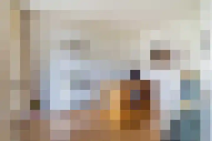 Schansbaan 120 Zoetermeer thumbnail 35
