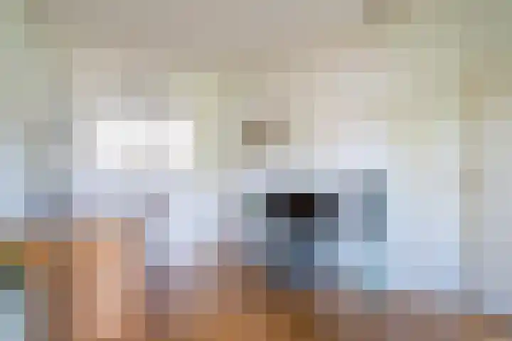 Schansbaan 120 Zoetermeer thumbnail 36