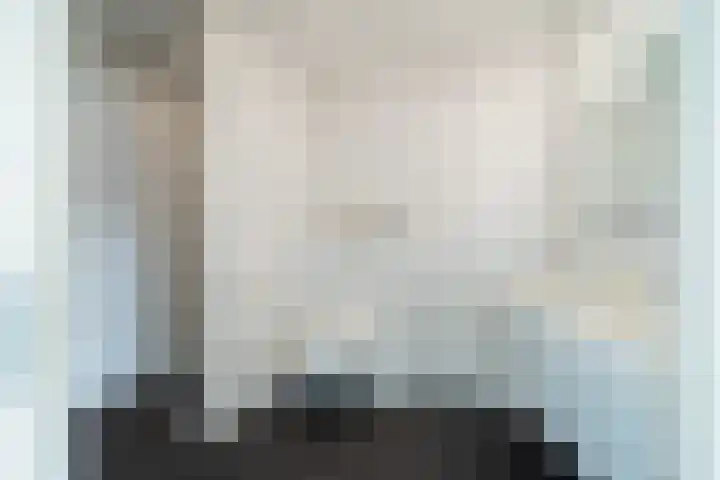 Schansbaan 120 Zoetermeer thumbnail 42