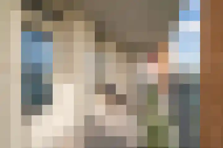 Schansbaan 120 Zoetermeer thumbnail 49