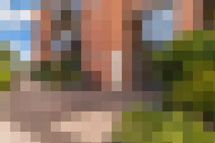 Schansbaan 120 Zoetermeer thumbnail 5