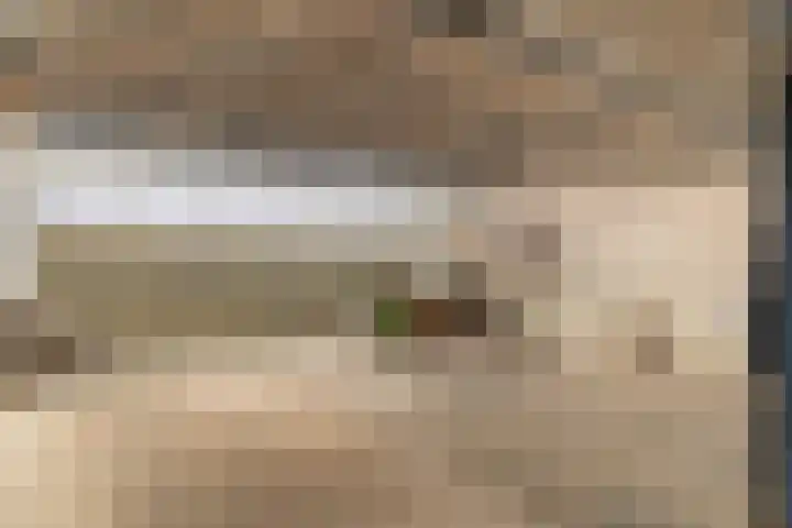 Schansbaan 120 Zoetermeer thumbnail 58
