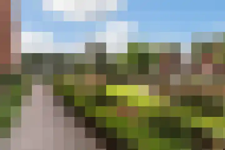 Schansbaan 120 Zoetermeer thumbnail 65