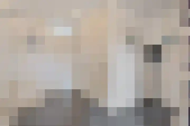 Schansbaan 177 Zoetermeer thumbnail 13