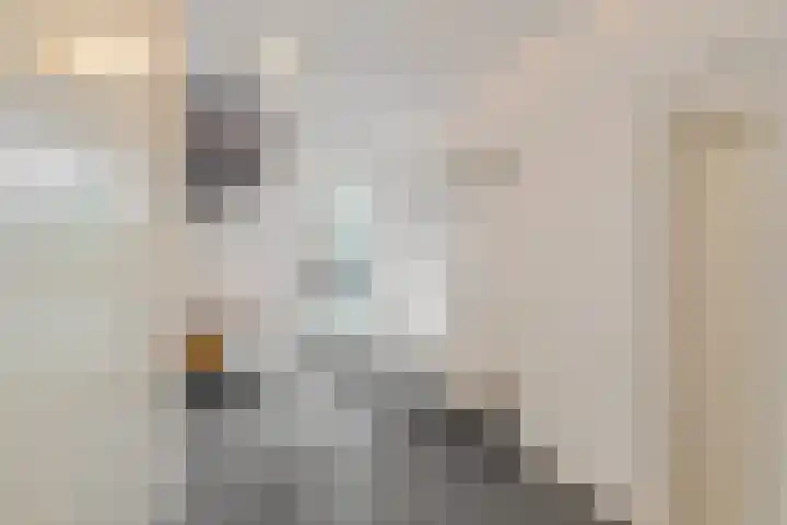 Schansbaan 177 Zoetermeer thumbnail 14