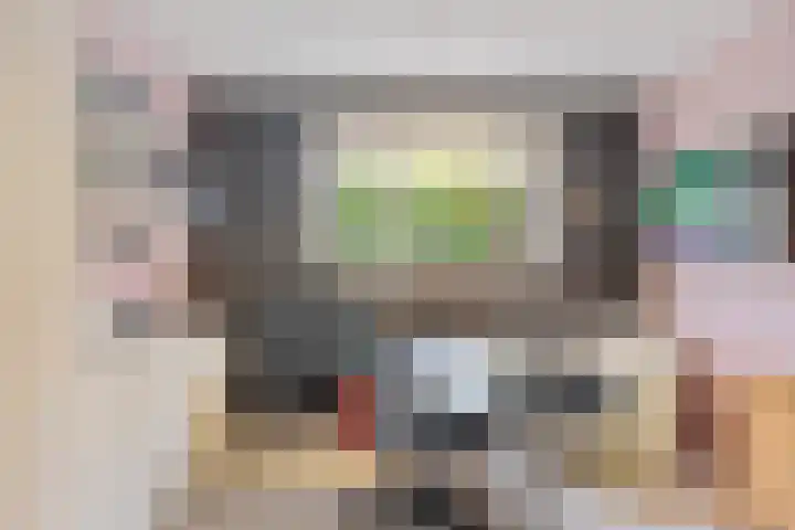 Schansbaan 177 Zoetermeer thumbnail 15