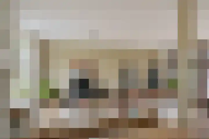 Schansbaan 177 Zoetermeer thumbnail 28