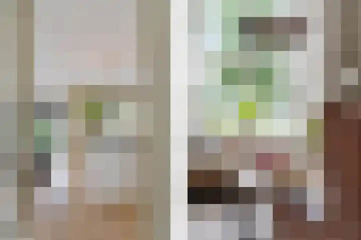 Schansbaan 177 Zoetermeer thumbnail 30
