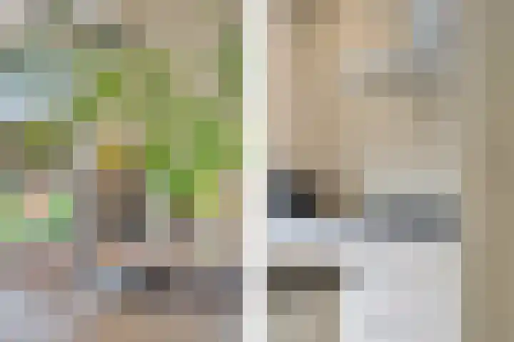 Schansbaan 177 Zoetermeer thumbnail 32