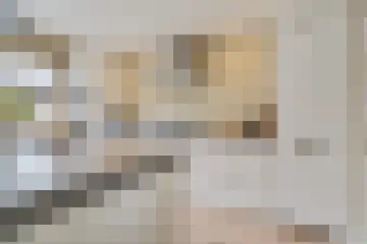 Schansbaan 177 Zoetermeer thumbnail 33