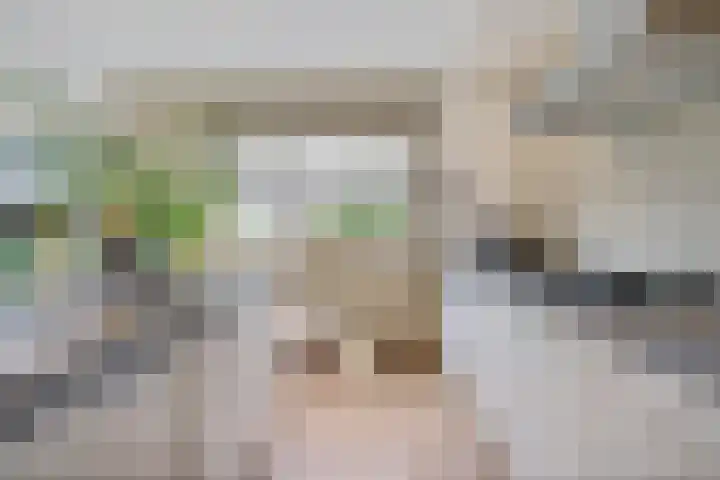 Schansbaan 177 Zoetermeer thumbnail 34