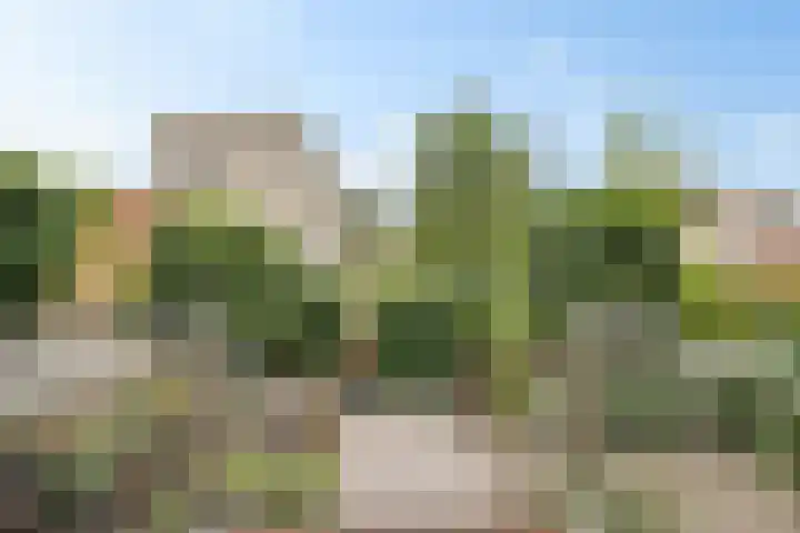 Schansbaan 177 Zoetermeer thumbnail 41