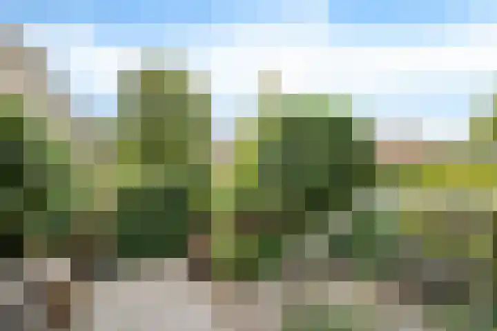 Schansbaan 177 Zoetermeer thumbnail 42