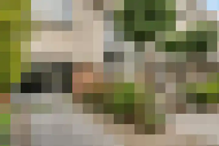 Schansbaan 177 Zoetermeer thumbnail 44