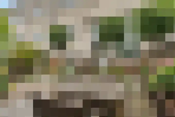 Schansbaan 177 Zoetermeer thumbnail 45