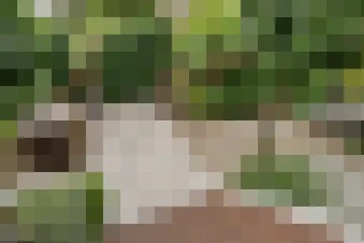 Schansbaan 177 Zoetermeer thumbnail 46
