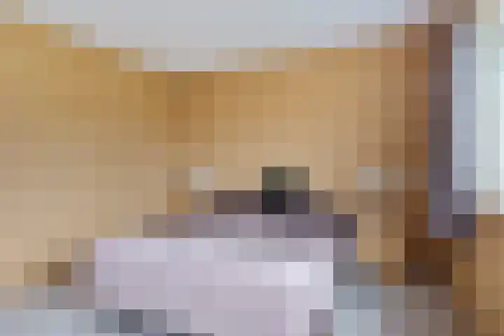 Schansbaan 177 Zoetermeer thumbnail 54