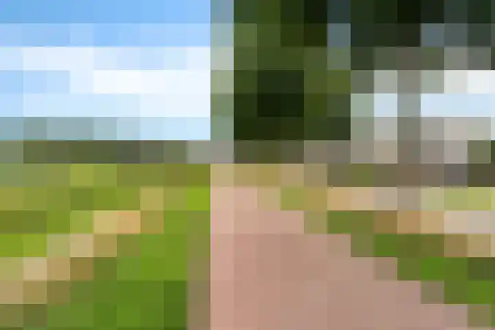 Schansbaan 177 Zoetermeer thumbnail 64