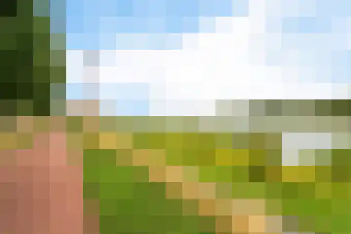 Schansbaan 177 Zoetermeer thumbnail 65