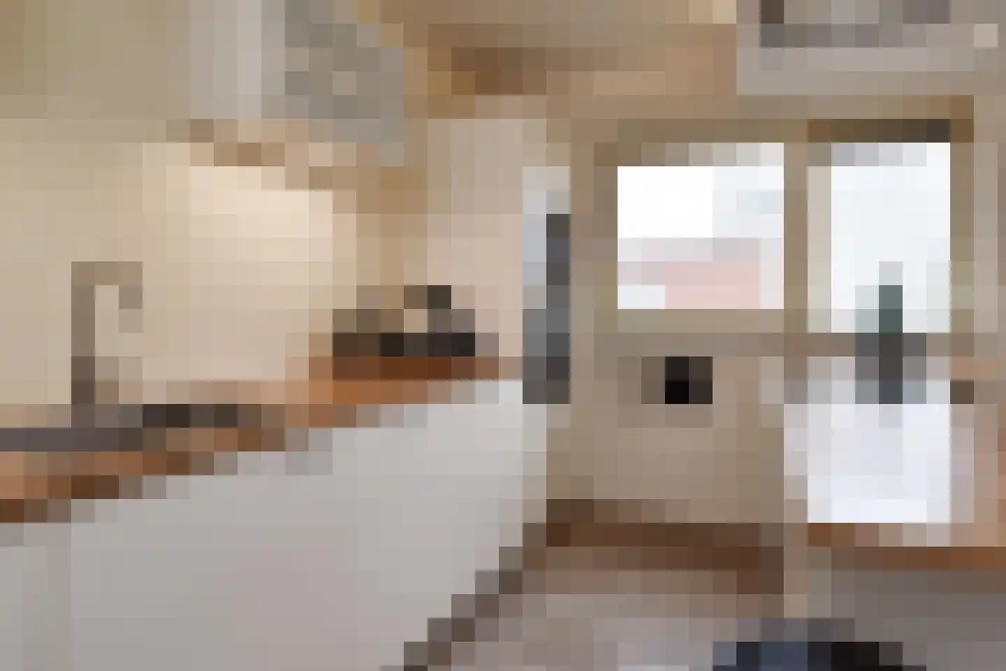 Schansbaan 179 Zoetermeer thumbnail 15