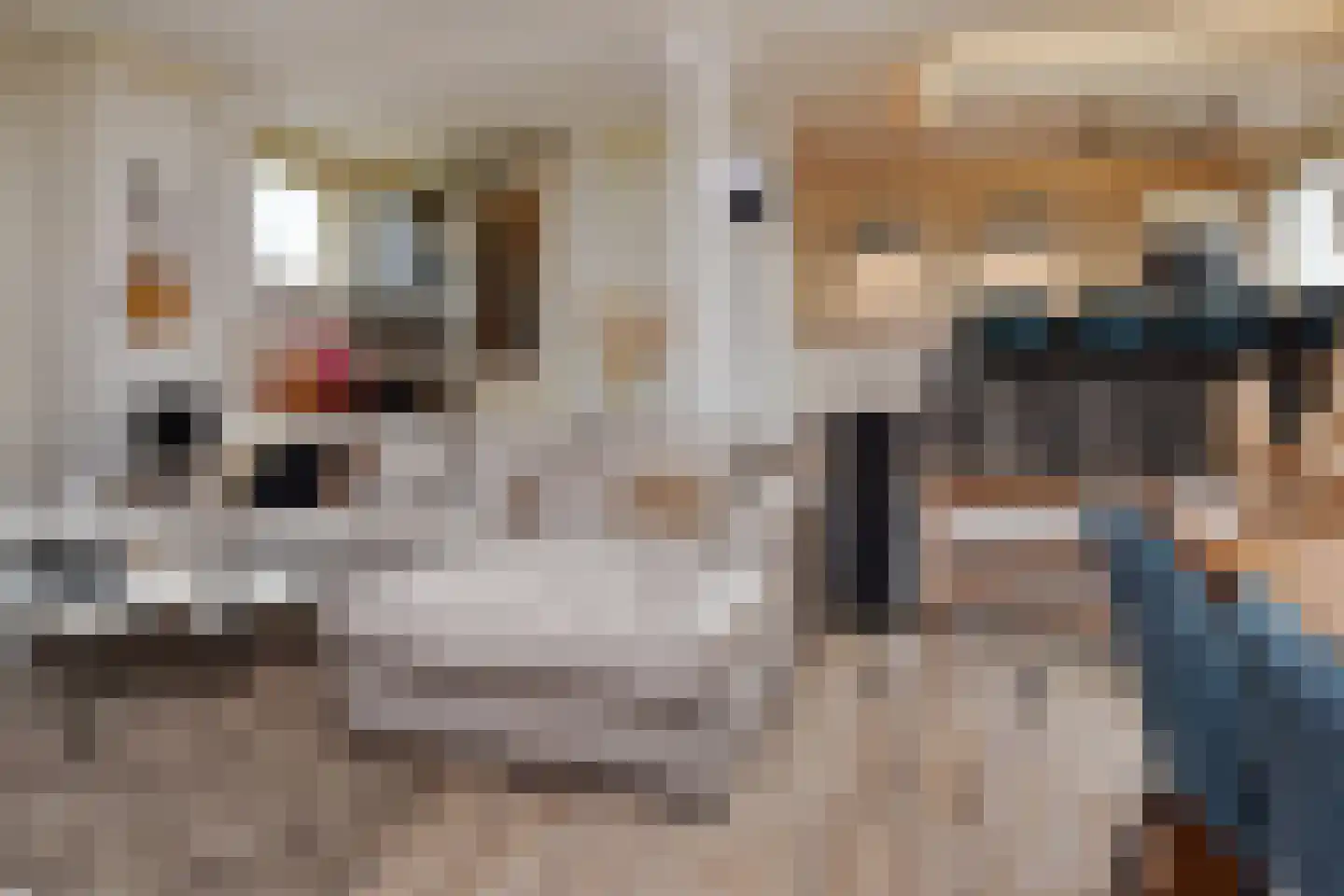 Schansbaan 179 Zoetermeer thumbnail 17