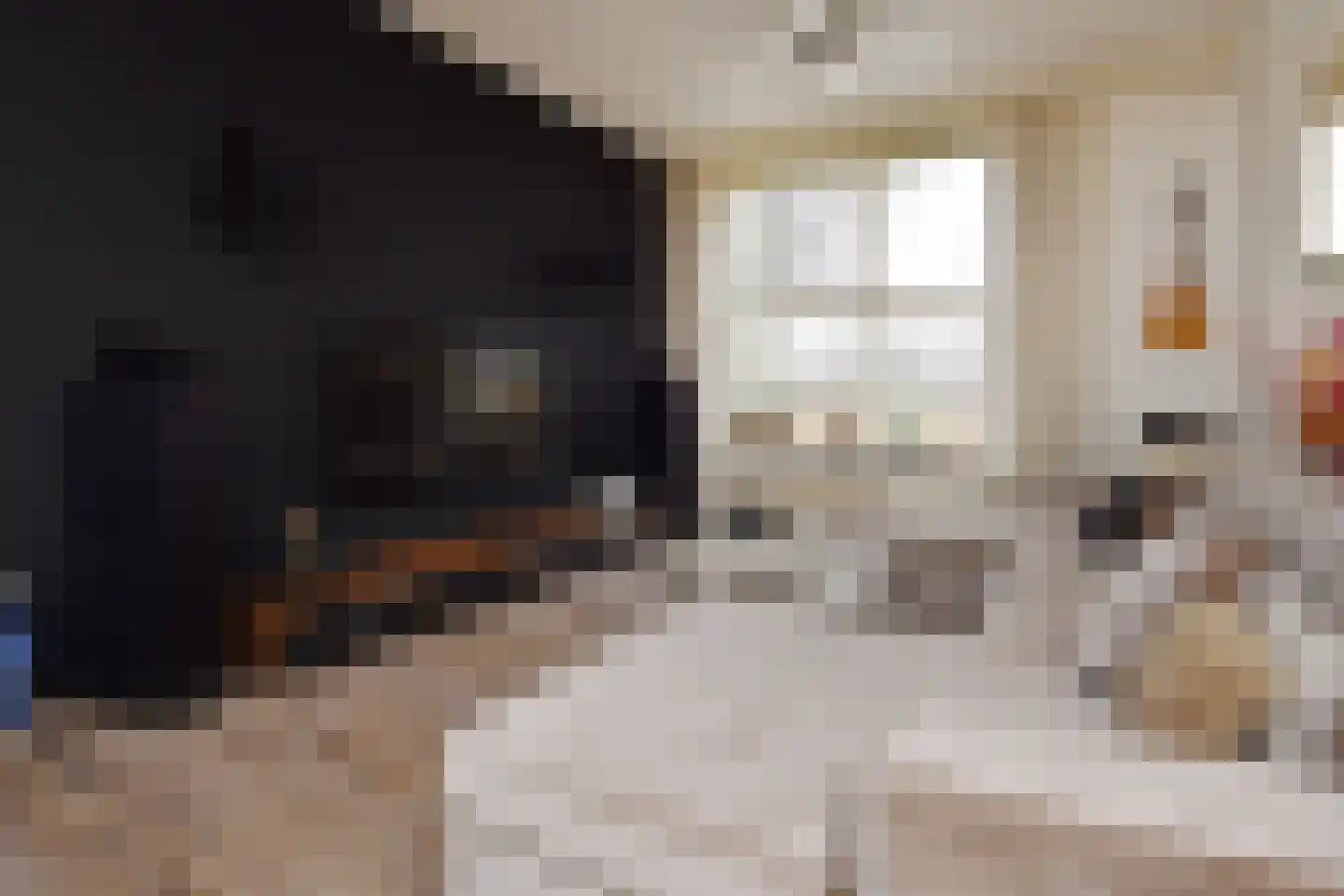 Schansbaan 179 Zoetermeer thumbnail 18