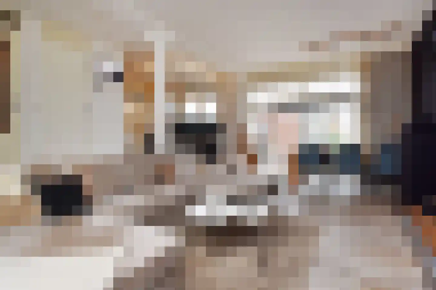 Schansbaan 179 Zoetermeer thumbnail 20